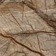 سنگ مرمریت رین فارست|rain forest marble